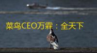 菜鸟CEO万霖：全天下电商尽管短期有不断定性，但临时看好电商睁开